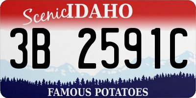 ID license plate 3B2591C