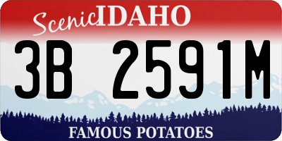 ID license plate 3B2591M