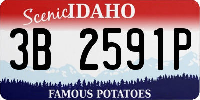 ID license plate 3B2591P