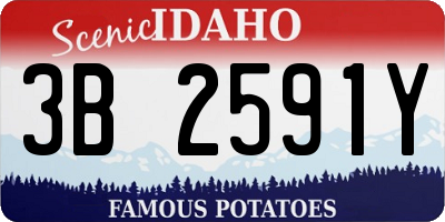 ID license plate 3B2591Y