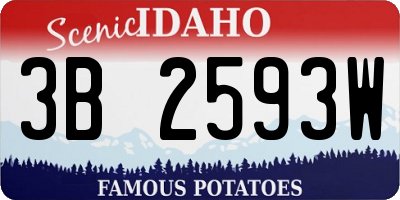 ID license plate 3B2593W