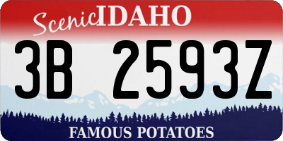 ID license plate 3B2593Z
