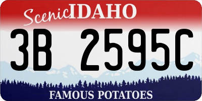 ID license plate 3B2595C