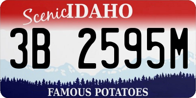 ID license plate 3B2595M