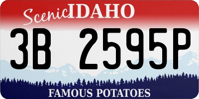 ID license plate 3B2595P