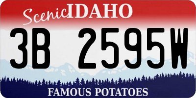 ID license plate 3B2595W