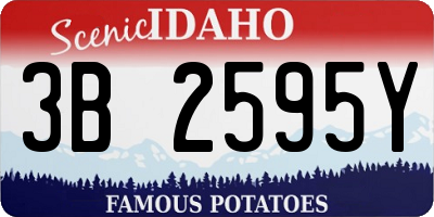 ID license plate 3B2595Y