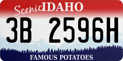 ID license plate 3B2596H