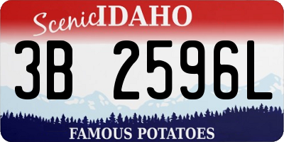 ID license plate 3B2596L