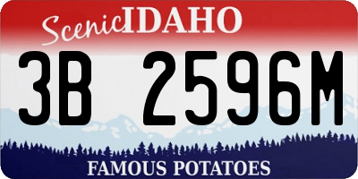 ID license plate 3B2596M