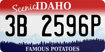 ID license plate 3B2596P