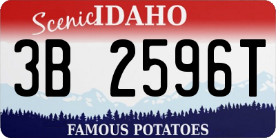 ID license plate 3B2596T