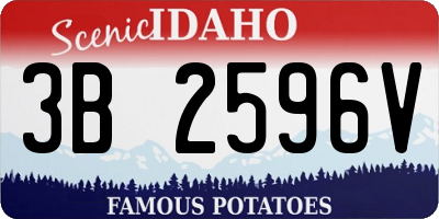 ID license plate 3B2596V