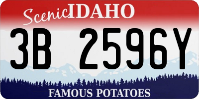 ID license plate 3B2596Y