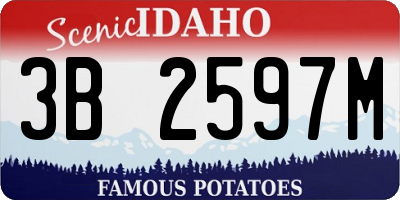 ID license plate 3B2597M