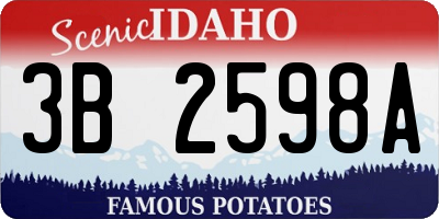 ID license plate 3B2598A
