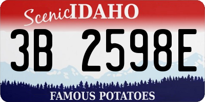 ID license plate 3B2598E
