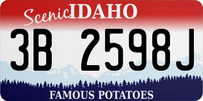 ID license plate 3B2598J