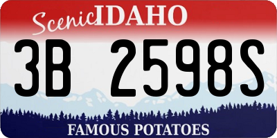ID license plate 3B2598S