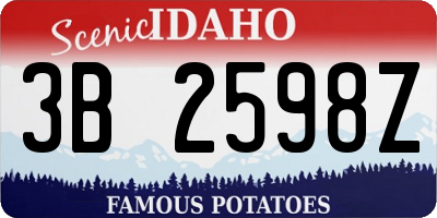 ID license plate 3B2598Z