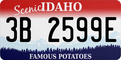 ID license plate 3B2599E