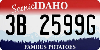 ID license plate 3B2599G
