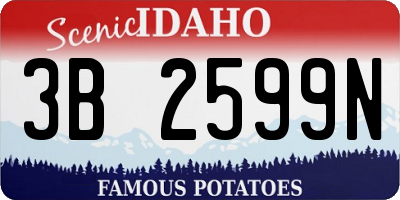 ID license plate 3B2599N