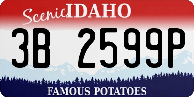 ID license plate 3B2599P