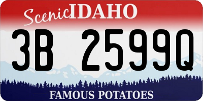 ID license plate 3B2599Q