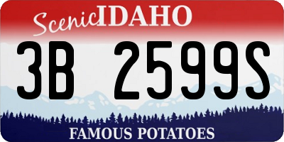 ID license plate 3B2599S
