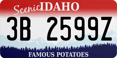 ID license plate 3B2599Z