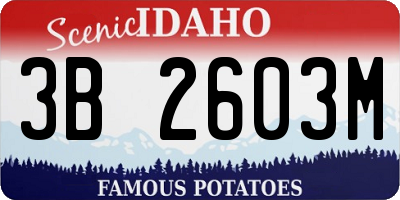ID license plate 3B2603M