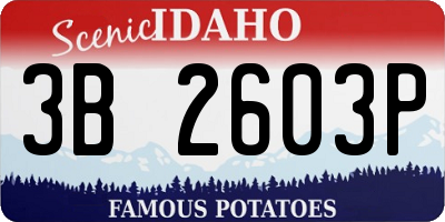 ID license plate 3B2603P