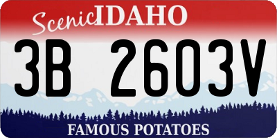ID license plate 3B2603V