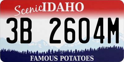 ID license plate 3B2604M