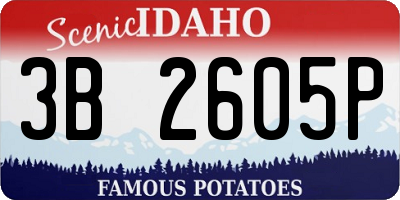 ID license plate 3B2605P