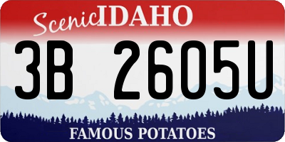 ID license plate 3B2605U