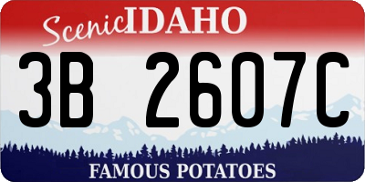 ID license plate 3B2607C