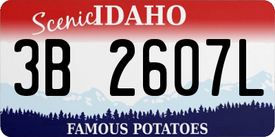 ID license plate 3B2607L