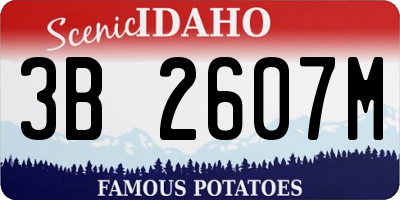 ID license plate 3B2607M