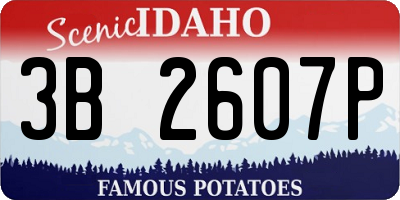 ID license plate 3B2607P