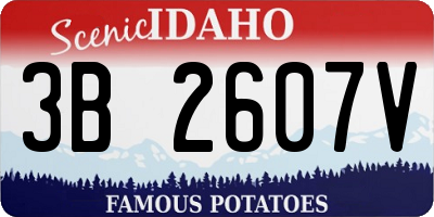 ID license plate 3B2607V