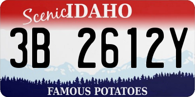 ID license plate 3B2612Y