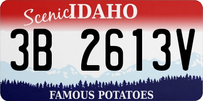 ID license plate 3B2613V