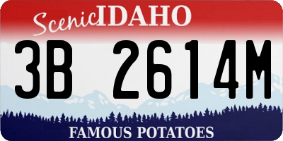 ID license plate 3B2614M