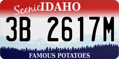 ID license plate 3B2617M