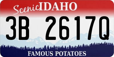 ID license plate 3B2617Q