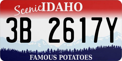 ID license plate 3B2617Y