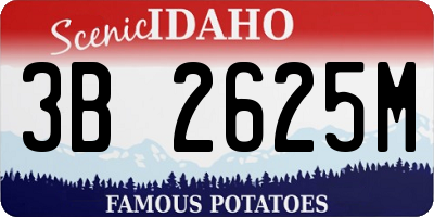 ID license plate 3B2625M
