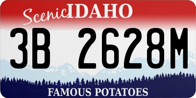 ID license plate 3B2628M